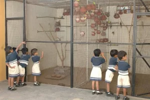 a group of children looking at a bird